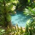 Photo of Palm Cove Tropic Apartments