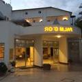 Image of Palm Dor Hotel