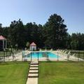 Image of Palmetto Inn