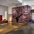 Exterior of Park Hyatt Washington