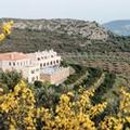 Image of Perivoli Country Hotel & Retreat
