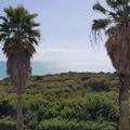 Photo of Pestana Palm Gardens