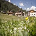 Photo of Priva Alpine Lodge Lenzerheide