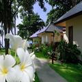 Image of Promtsuk Buri Resort