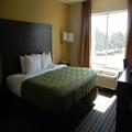 Image of Quality Inn Holland - Toledo
