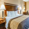 Photo of Quality Inn & Suites Mount Pleasant