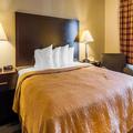 Exterior of Quality Inn Tigard - Portland Southwest