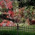 Image of Riverside Hot Springs Inn & Spa - Adults Only