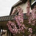 Photo of Rodeway Inn Syracuse Carrier Circle