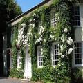Image of Rose In Vale Country House Hotel