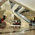 Photo of Royal Pedregal Hotel