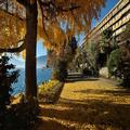 Image of Royal Plaza Montreux
