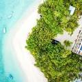 Image of Season Paradise
