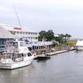 Photo of Shem Creek Inn