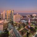 Image of Sheraton Buenos Aires Hotel and Convention Center
