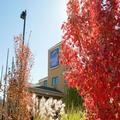 Exterior of Sleep Inn Asheville - Biltmore West