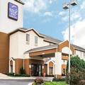 Image of Sleep Inn & Suites Stony Creek - Petersburg South
