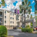 Image of Sleep Inn near Busch Gardens/USF