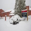 Image of Snow Cap Inn