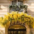Image of Solly Hôtel Paris