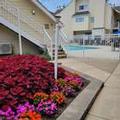 Image of Sonesta ES Suites St. Louis - Chesterfield