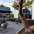 Photo of Sonesta Irvine John Wayne Airport