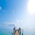 Image of Spice Island Hotel & Resort
