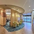 Image of SpringHill Suites Detroit Southfield
