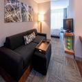 Image of SpringHill Suites by Marriott Rochester-Mayo Clinic/St Marys