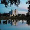 Exterior of Springhill Suites Marriott Tampa Suncoast Parkway
