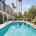Exterior of Springhill Suites by Marriott Phoenix Chandler / Fashion Center