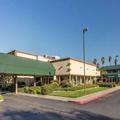 Image of Stockton Inn