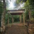 Photo of Summit Rainforest Golf Resort & All Inclusive