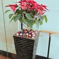 Photo of Sunway Hotel Hanoi