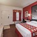 Image of Super 8 by Wyndham Albuquerque Airport