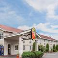 Photo of Super 8 by Wyndham Shelton