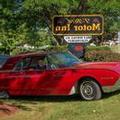 Image of T Bird Motor Inn