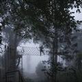 Image of Tea Valley Resort