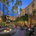 Photo of Tempe Mission Palms