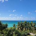 Image of The Broadmore Miami Beach