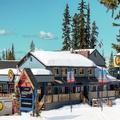 Image of The Bulldog Hotel Silverstar
