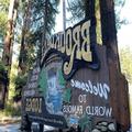 Image of The Historic Brookdale Lodge, Santa Cruz Mountains