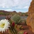 Image of The Inn at Entrada