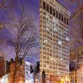 Image of The James New York Nomad