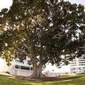 Photo of The Sebel Mandurah