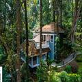 Photo of The Tall Trees Munnar