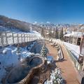 Photo of The Timberline Condominiums