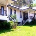 Image of The W Villa