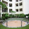 Image of The Xen Suites