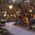 Exterior of Tommy Bahama Miramonte Resort & Spa